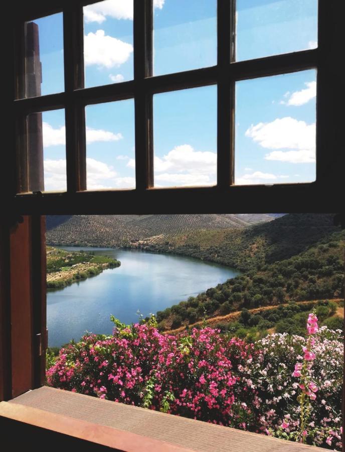 Villa Auri Vila Nova de Foz Coa Buitenkant foto